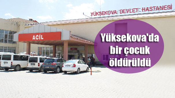 Yüksekova’da bir çocuk öldürüldü