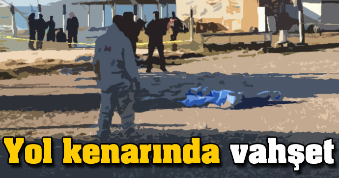 Yol kenarında vahşet!