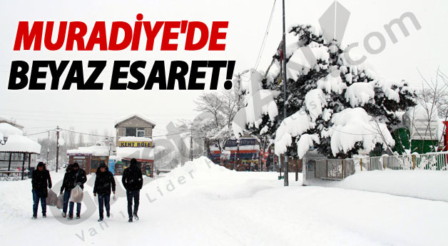 Muradiye’de Kar Yağışı