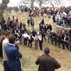 DiyarbakırKulp’ta Murat Şenlikleri Başladı