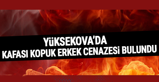 Yüksekova’da kafası kopuk erkek cenazesi bulundu