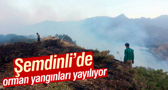 Şemdinli’de orman yangınları yayılıyor