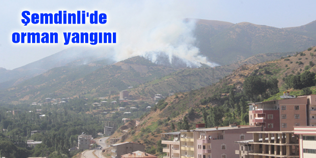 Şemdinli’de orman yangını