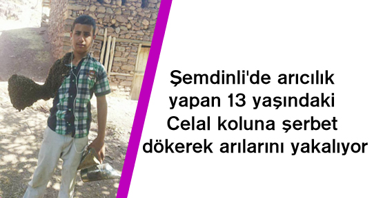 Şemdinli’de arıcılık yapan 13 yaşındaki Celal koluna şerbet dökerek arılarını yakalıyor