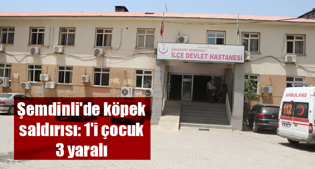 Şemdinli’de köpek saldırısı: 1’i çocuk 3 yaralı