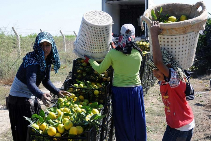 Türkiye’de 100 bine yakın çocuk işçi var