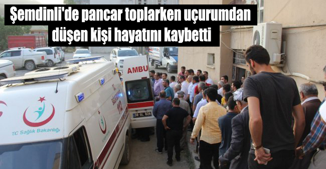 Şemdinli’de pancar toplarken uçurumdan düşen kişi hayatını kaybetti