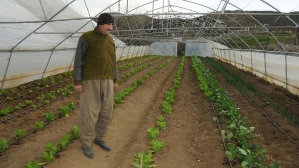 Şemdinli’de fırtına okulun çatısını uçurdu, seralara zarar verdi