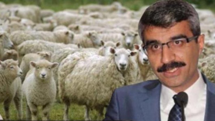 AK Partili adayın yakınlarına 300’er koyun!