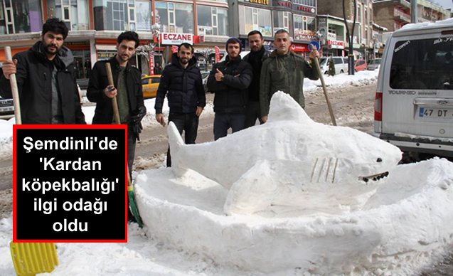 Şemdinli’de ‘Kardan köpekbalığı’ ilgi odağı oldu