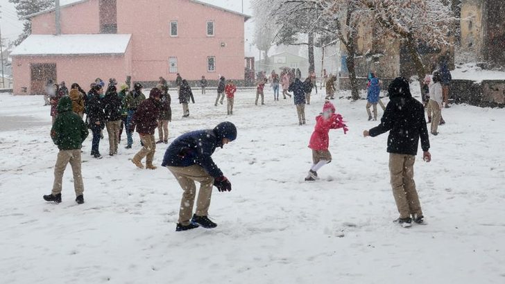 Hakkari, Başkale, Muradiye ve Bitlis’te okullar tatil!