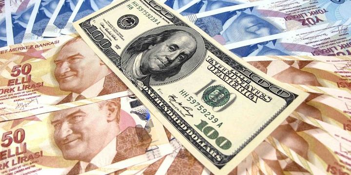 Goldman Sachs: TL, 12 ayda yüzde 15 düşebilir