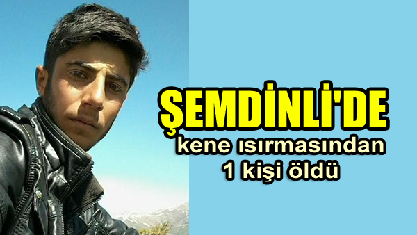 Şemdinli’de kene ısırmasından 1 kişi öldü