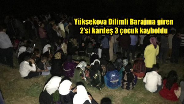Yüksekova Dilimli Barajına giren 2’si kardeş 3 çocuk kayboldu