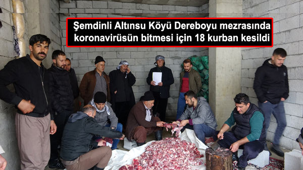 Şemdinli Altınsu Köyü Dereboyu mezrasında koronavirüsün bitmesi için 18 kurban kesildi