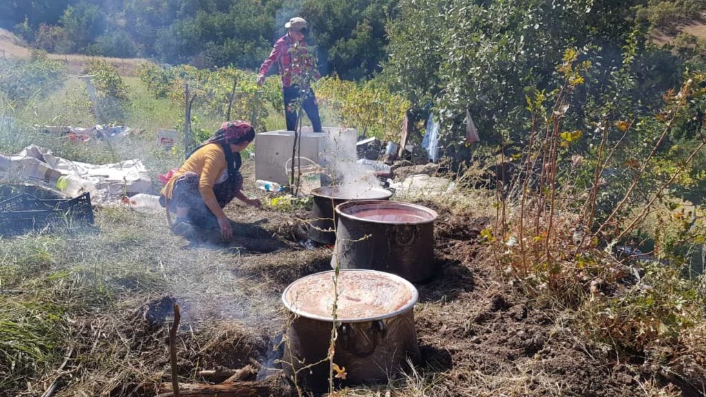 Çukurca’da doğal üzüm pekmezinin yapılmasına başlandı