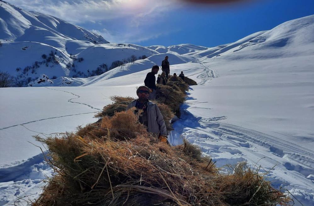 Şemdinli’de hayvanlar için dağlardan kızaklarla ot taşıyorlar