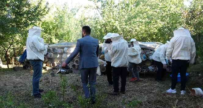 Van’da davullu zurnalı bal hasadı