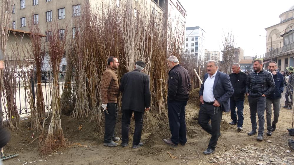 Havaların ısınmasıyla meyve fidanları da görücüye çıktı