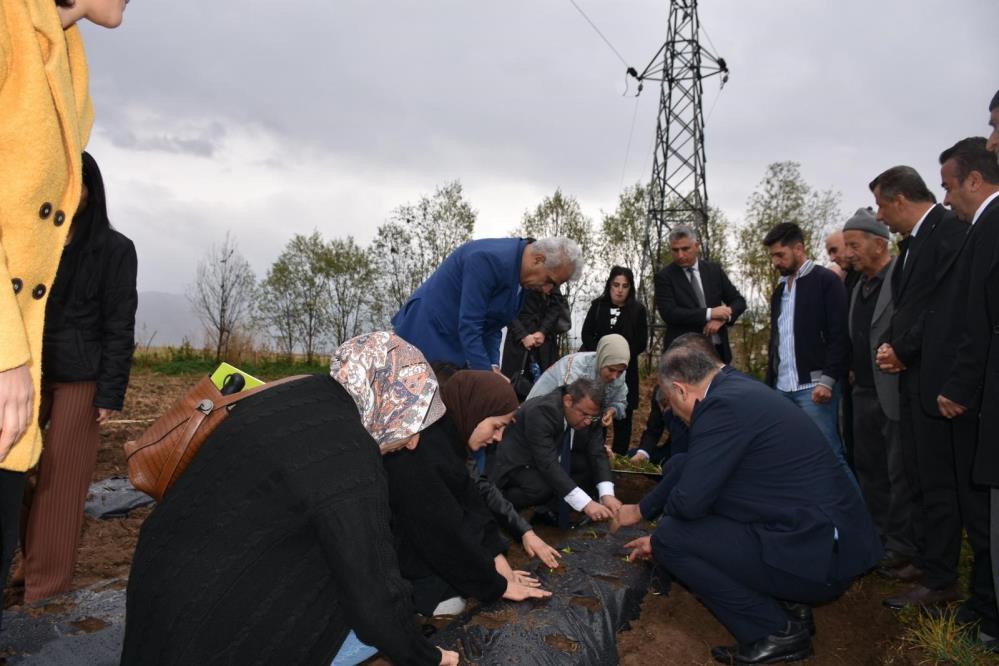 Yüksekovalı kadınlar tarım projeleriyle köylere hayat verecek