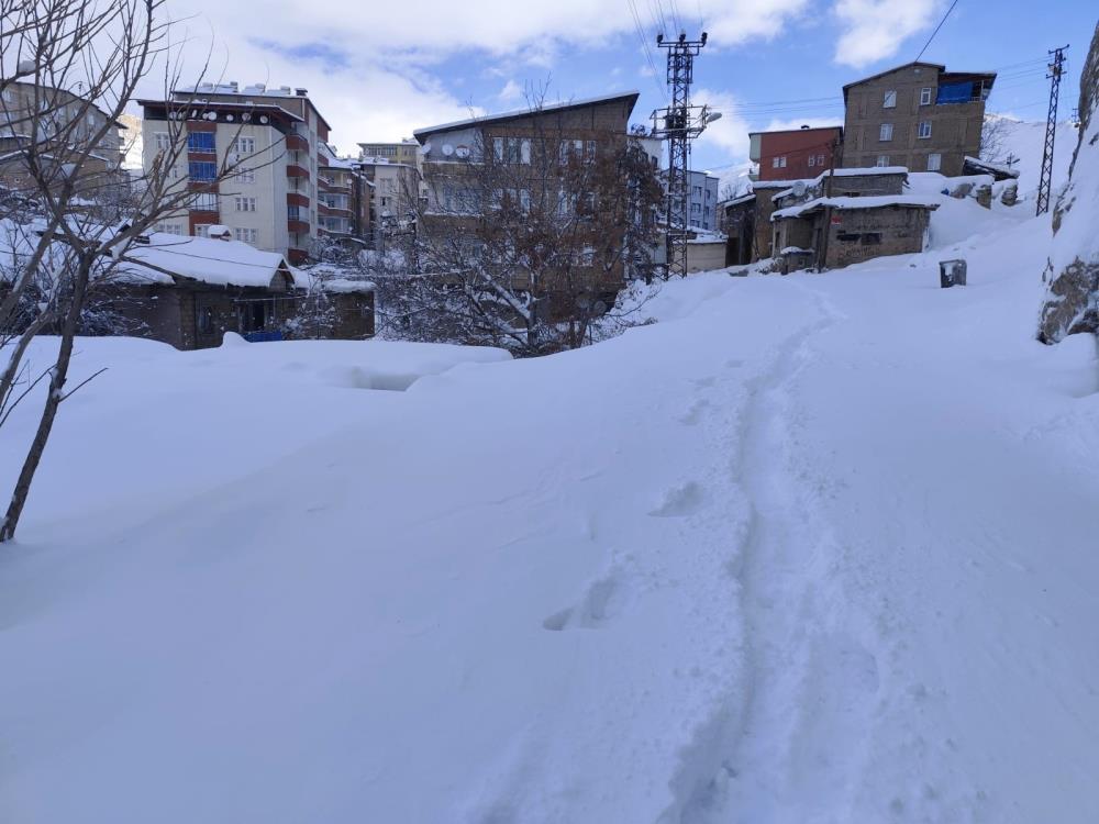 Hakkari’de 18 köy ve 64 mezra yolu ulaşıma kapandı