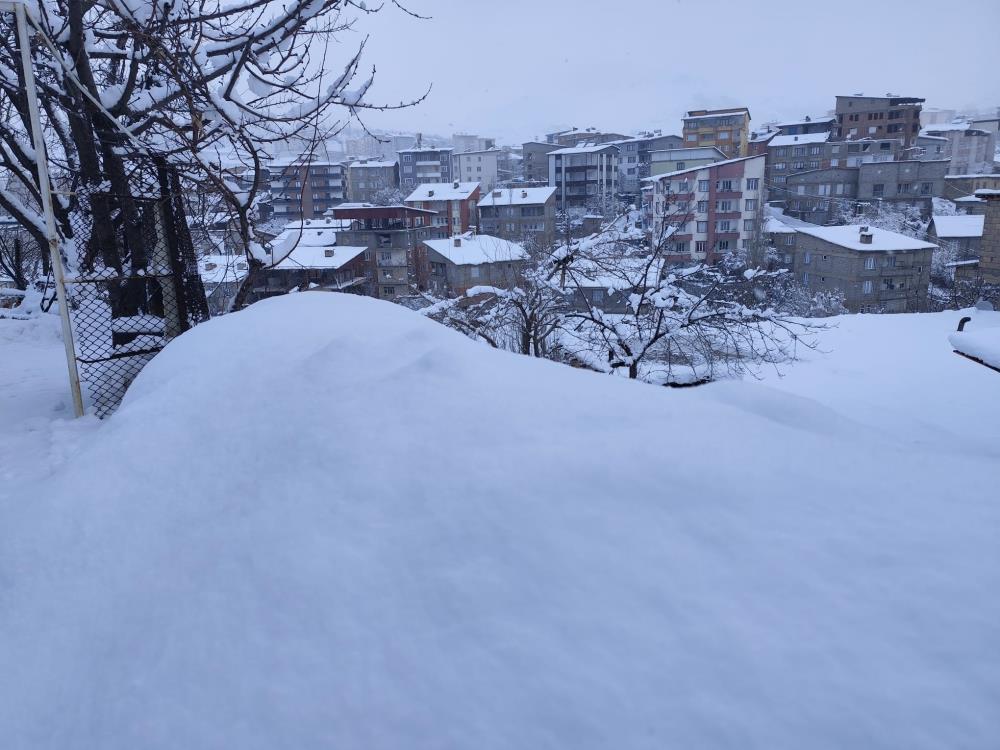 Hakkari’de 190 yerleşim yolu kapandı