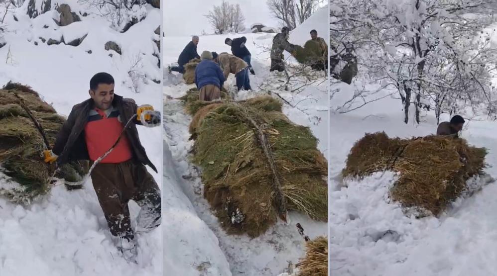 Derecik’te çiftçilerin zorlu kış mesaisi: 3 bin rakımdan otları kızaklarla indirdiler