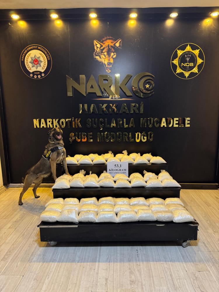 Hakkari’de 175,5 kilogram esrar ele geçirildi