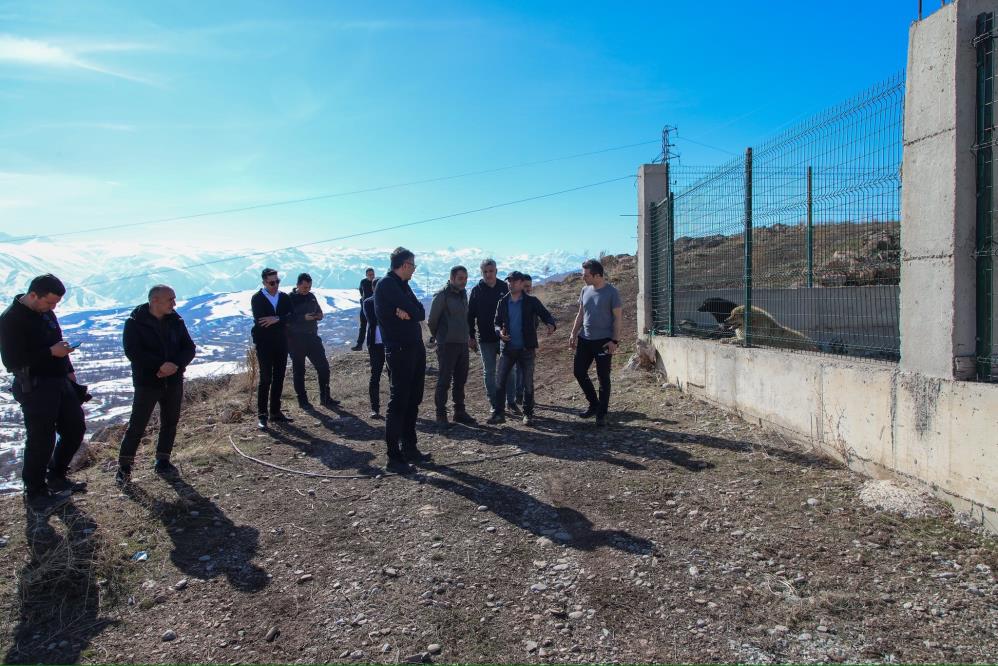 Vali Çelik, sokak hayvanları için kurulacak doğal yaşam alanlarını inceledi