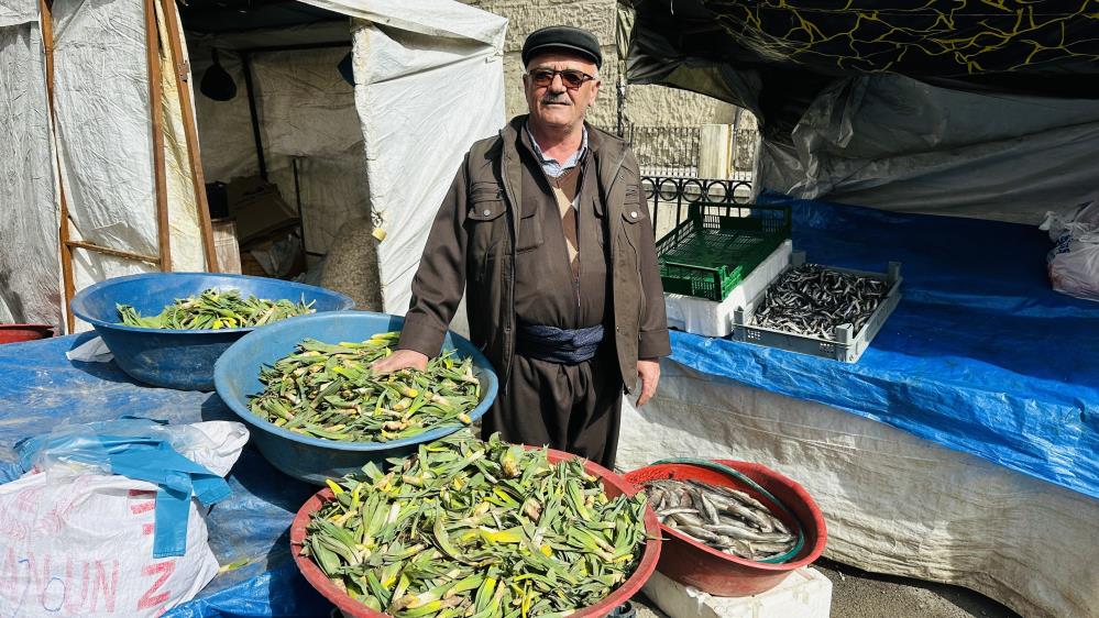 Çiriş otu tezgahlarındaki yerini aldı