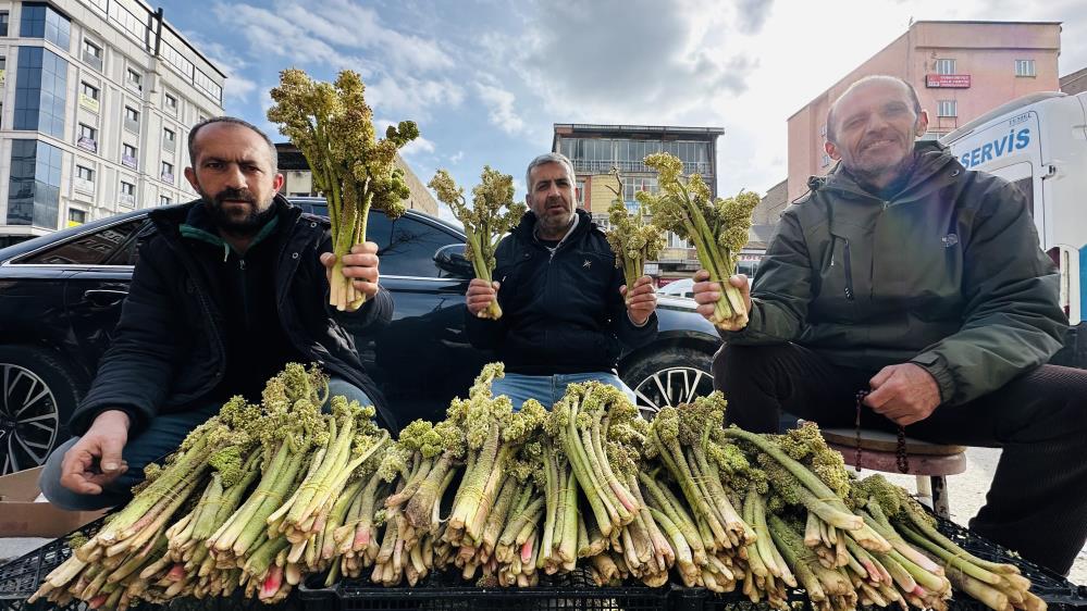 Yayla muzunun destesi 100 TL’den satışa çıkarıldı