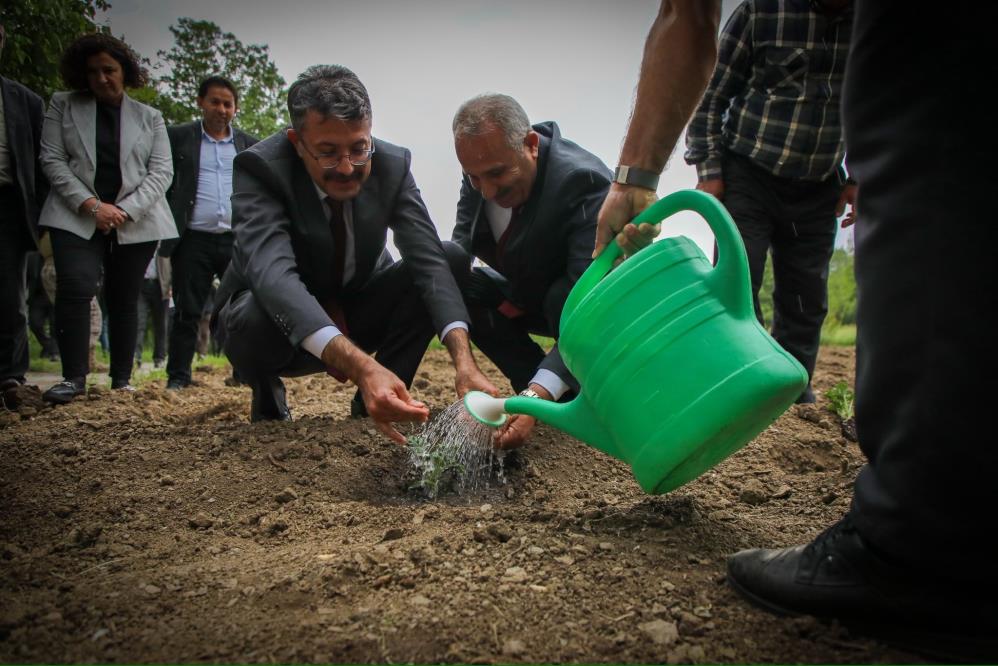 Vali Ali Çelik: “Bu toprakları birlikte yeşerteceğiz”