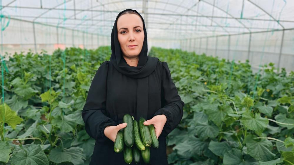 Irak’tan Yüksekova’ya uzanan başarı öyküsü