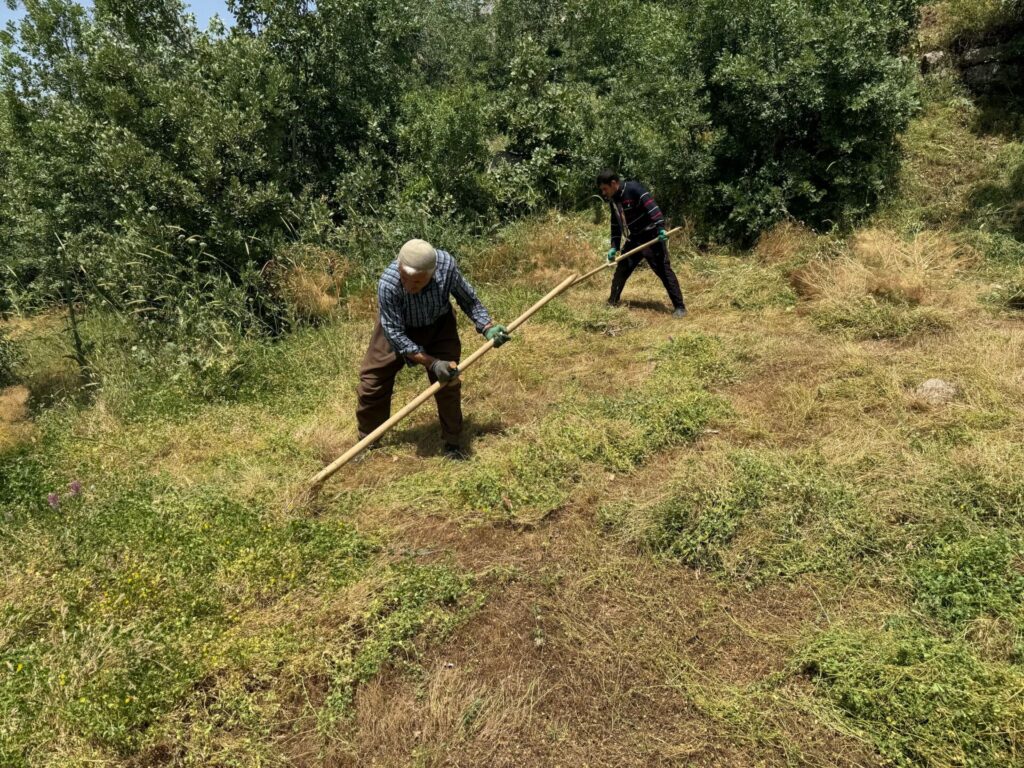Derecik’te Çiftçilerin Zorlu Tırpan Mesaisi Başladı