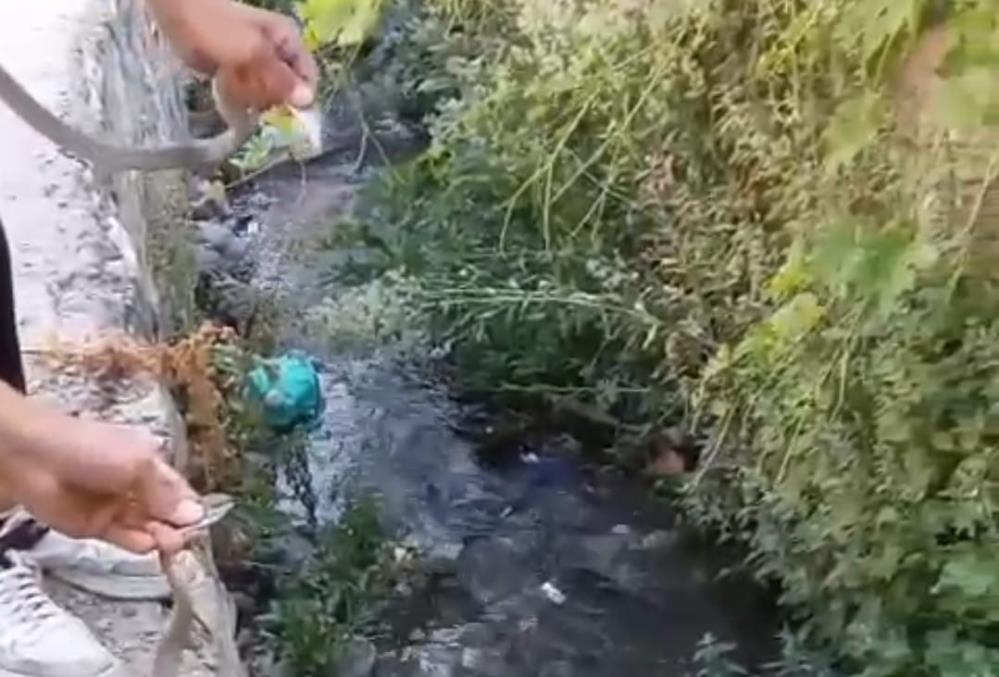 Hakkari’de toprak evin tavanına yuva yapan yılanlar doğaya salındı