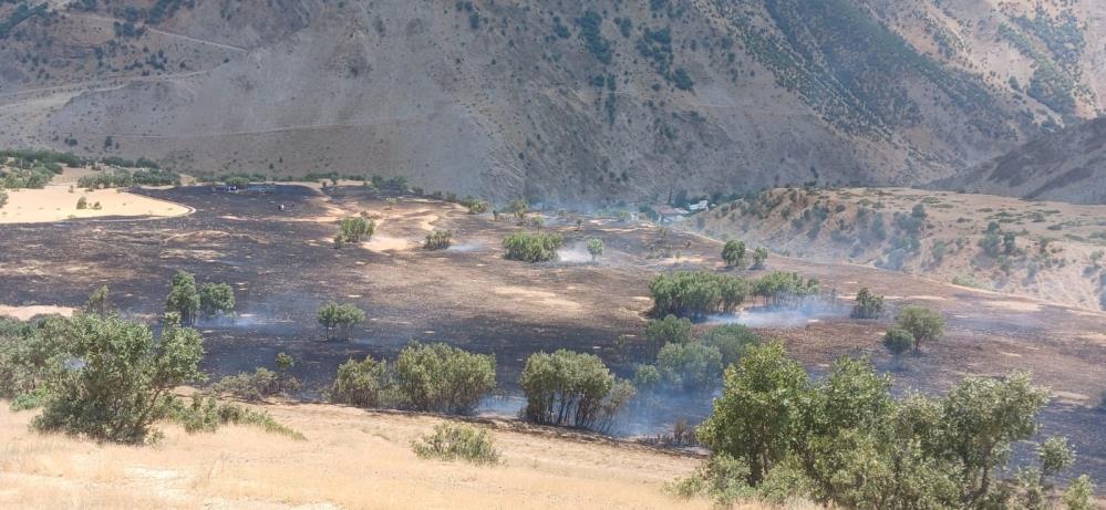 Hakkari’de anız yangını