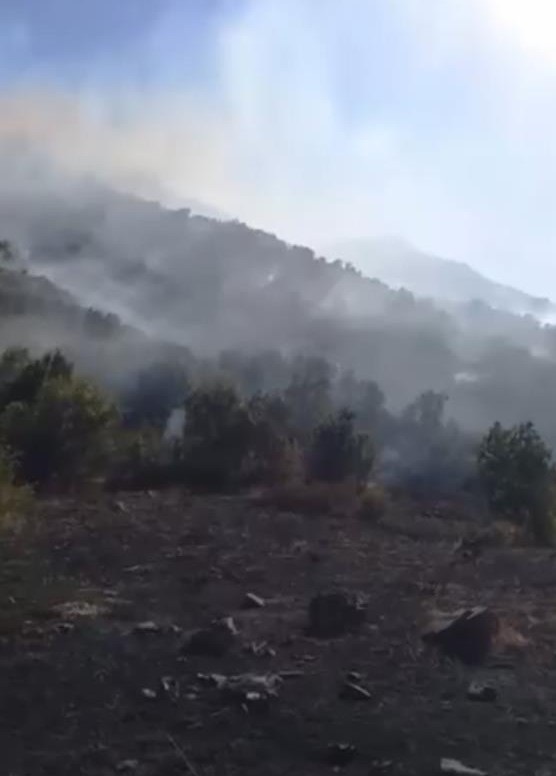 Yüksekova Dağlıca köyünde orman yangını