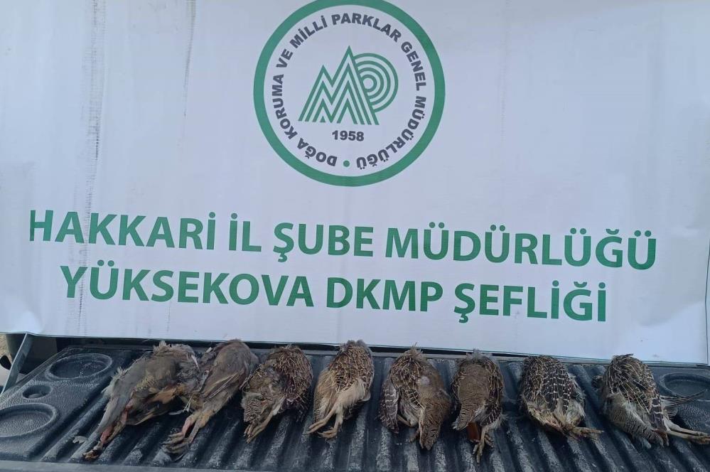 DKMP ekipleri kaçak keklik avlayan şahsa cezai işlem uyguladı
