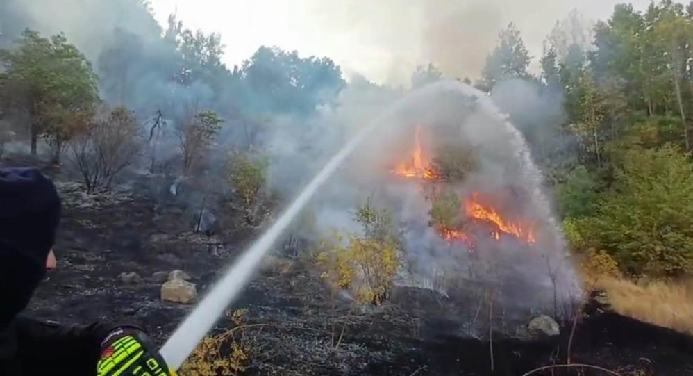 Hakkari’de 3 farklı bölgede çıkan yangın itfaiye ekiplerince söndürüldü