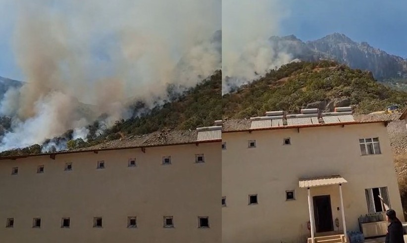 Hakkari-Çukurca kara yolundaki makilik alanda yangın çıktı
