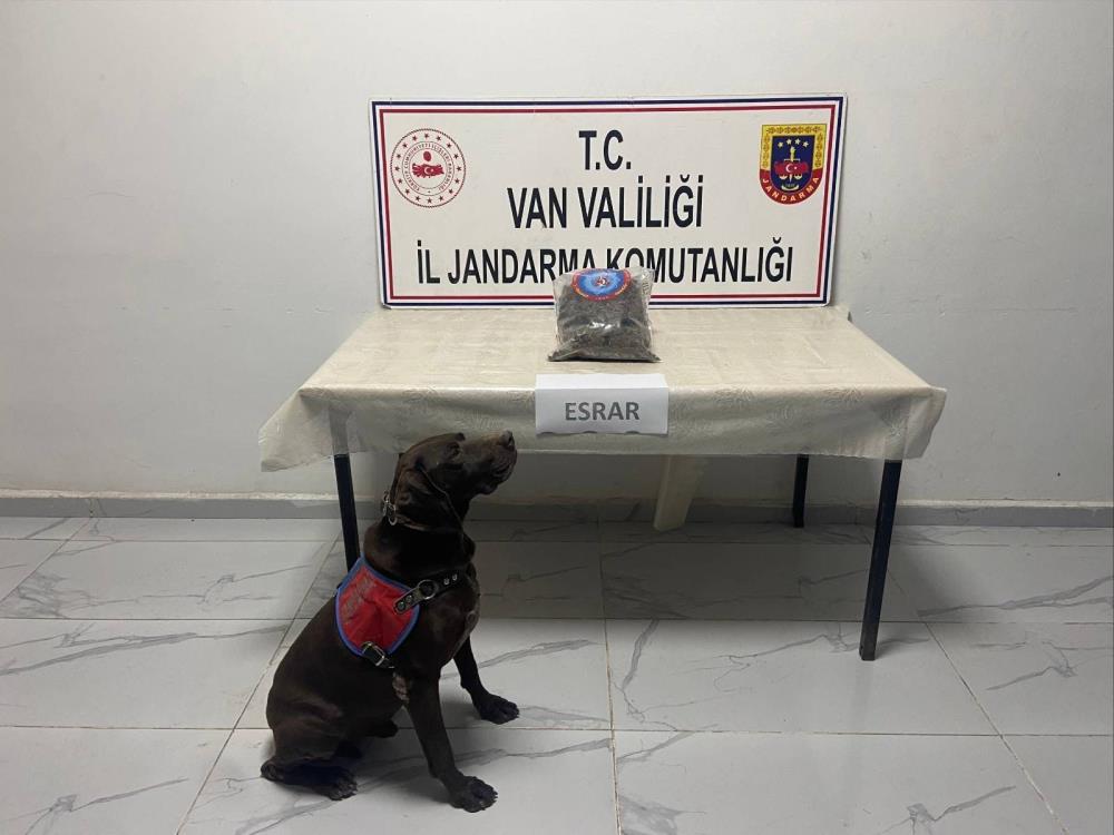 Hakkari’de kubar esrar ele geçirildi