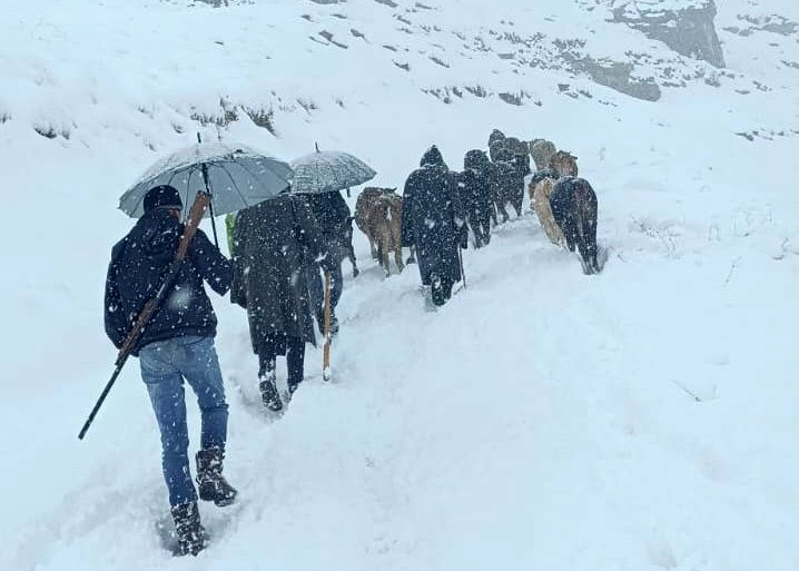 Hakkari’de dağda mahsur kalan sürü kurtarıldı