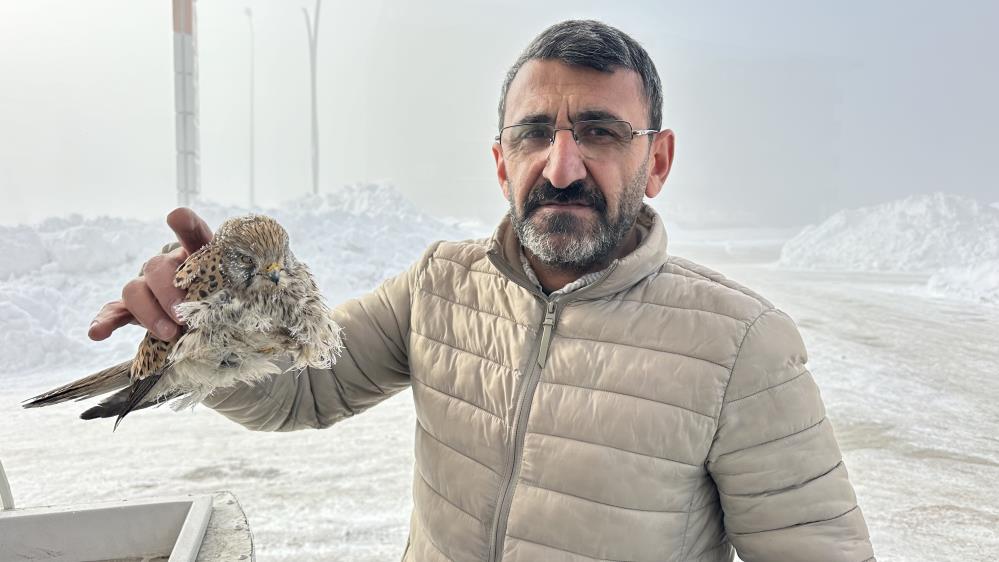 Yüksekova’da yürek burkan manzara: Konduğu yerde dondu