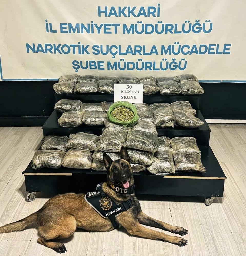 Yüksekova’da 30 kilo Skunk ele geçirildi: 2 şüpheli gözaltında