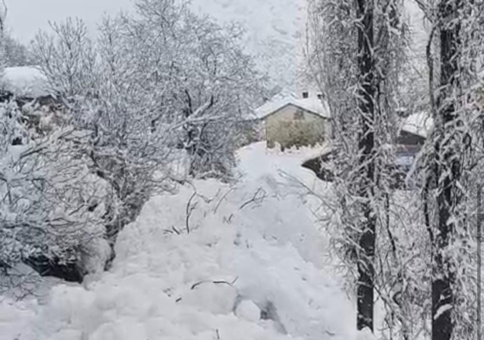 Yüksekova’da çığ yerleşim yerine indi: Facianın eşiğinden dönüldü