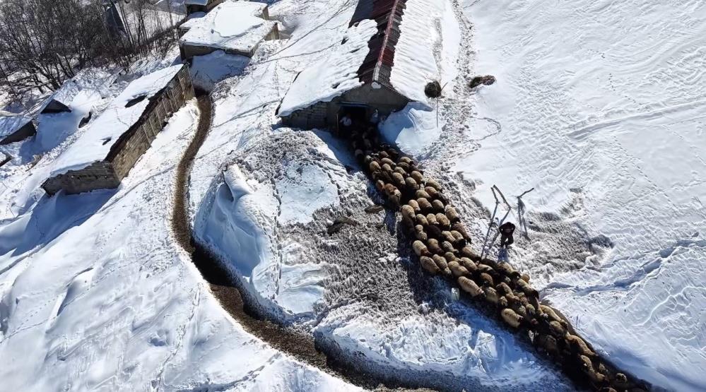 Hakkari’de 1 buçuk metreyi aşan karda çiftçilerin zorlu mesaisi sürüyor