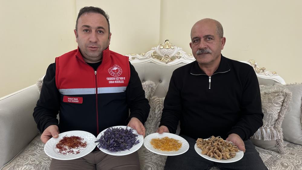 “Yapamazsın” diyenlere inat yetiştirdiği safran ve salebi evinde tüketiyor