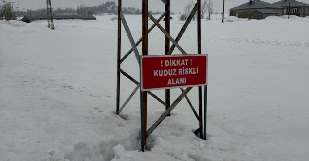 Yüksekova’da kuduz alarmı: Ekiplerin müdahalesiyle durum kontrol altına alındı