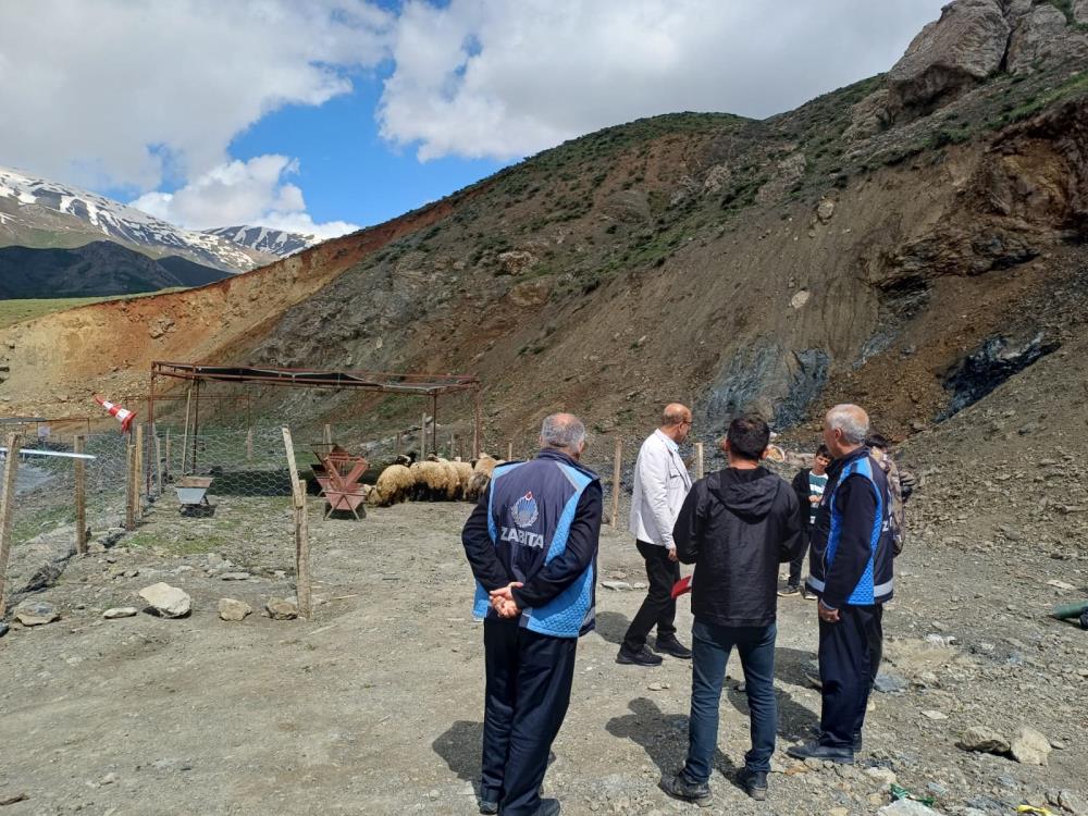 Hakkari’de Kurban pazarı hareketlendi