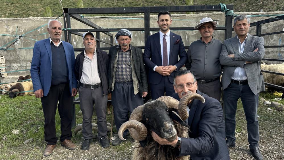 Yüksekova’da hayvan pazarında bayram hareketliliği